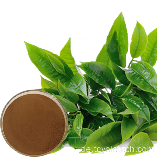 Natural 98% Tee Polyphenol Grüner Teeextrakt Pulver